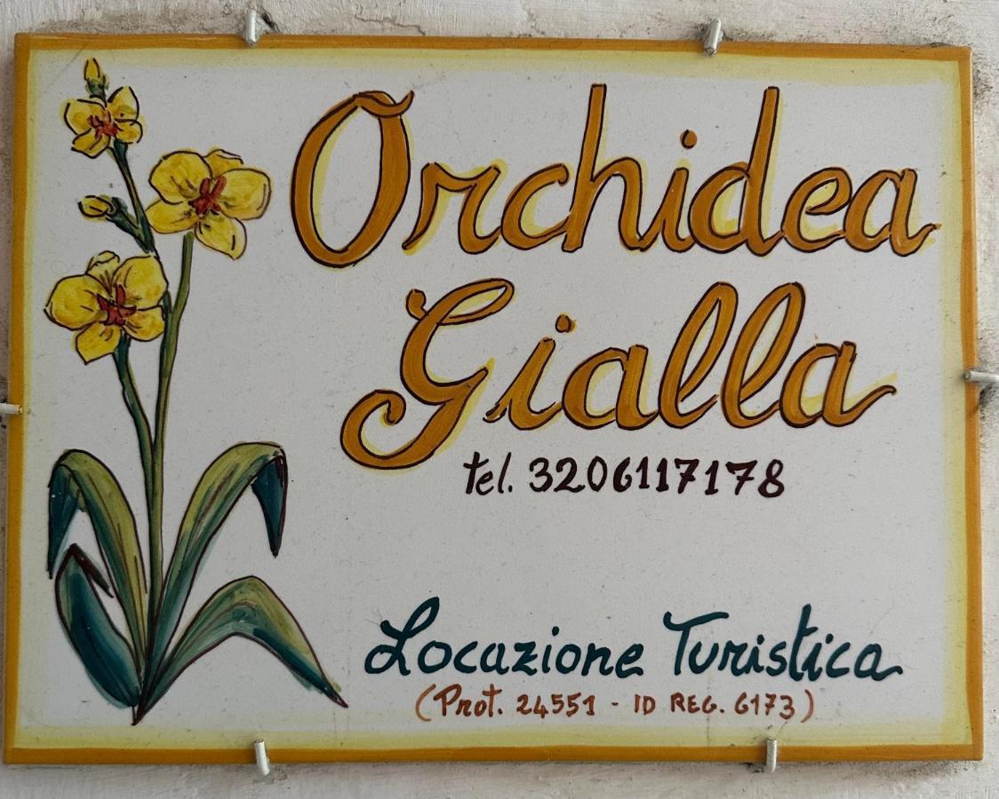 Orchidea Gialla Gaeta Exterior photo