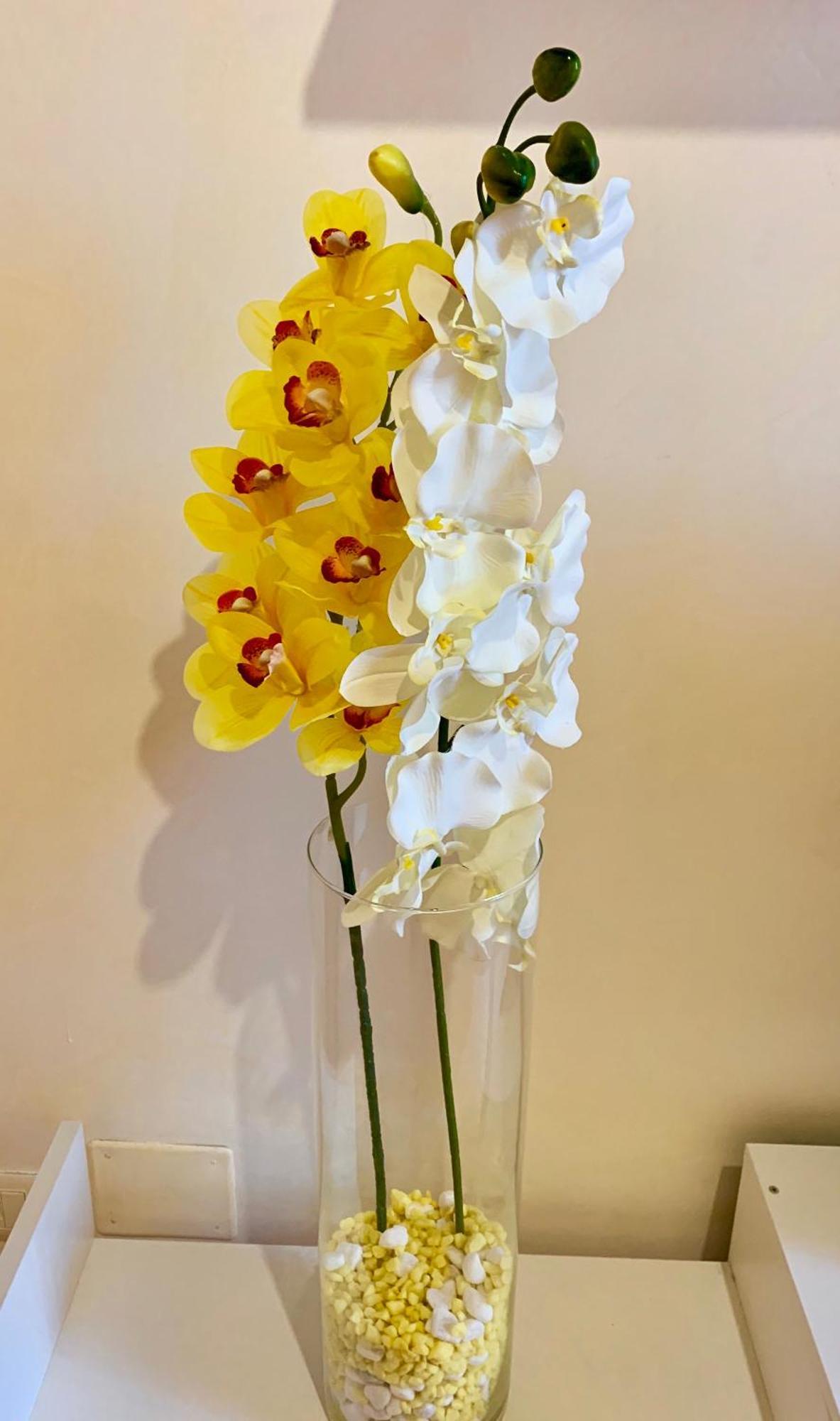 Orchidea Gialla Gaeta Exterior photo